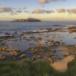 Castaway Norfolk Island - Nepean & Phillip Islands